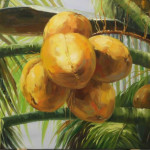 coconuts (tropical art)