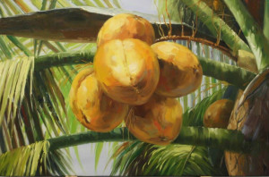 coconuts (tropical art)